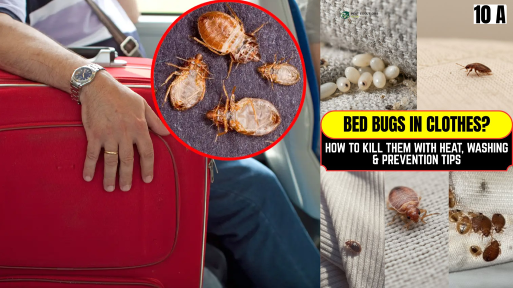 Why Dirty Clothes Are Especially Risky