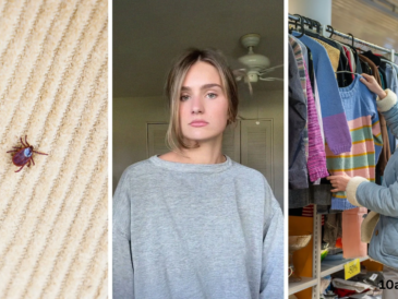 will bed bugs travel on clothes