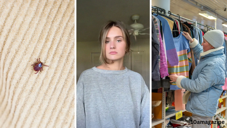 will bed bugs travel on clothes