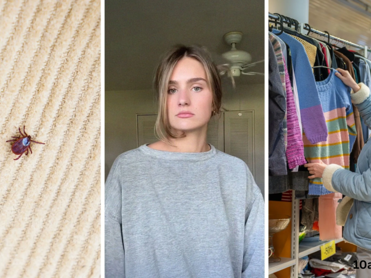 will bed bugs travel on clothes